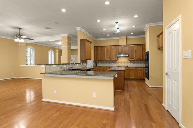 11406 Carson Ave, Pearland, TX 77584 - kitchen with a sink, under cabinet range hood, brown cabinets, and ornamental molding