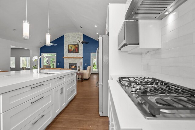 207 W Neyland St, Colmesneil, TX 75938 - kitchen featuring a fireplace, open floor plan, extractor fan, a sink, and stainless steel appliances