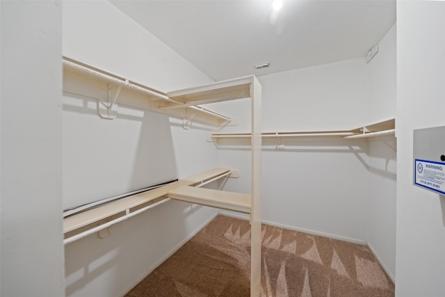 spacious closet with carpet floors and visible vents