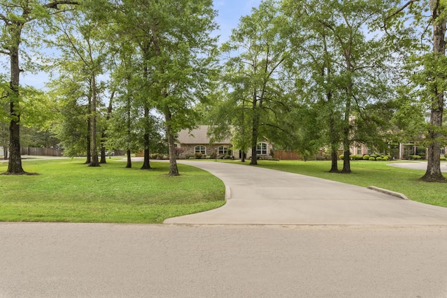 19486 Humaya Dr, Porter, TX 77365 - view of property's community with a lawn and curved driveway
