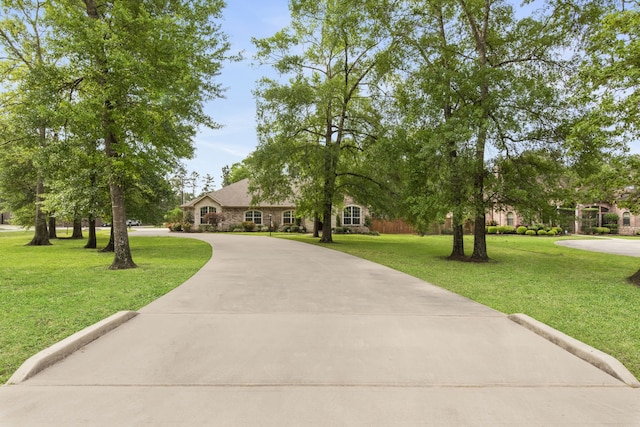 19486 Humaya Dr, Porter, TX 77365 - view of front of home featuring curved driveway, stone siding, and a front yard