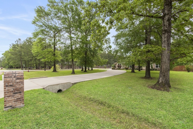 19486 Humaya Dr, Porter, TX 77365 - view of property's community featuring a lawn and driveway