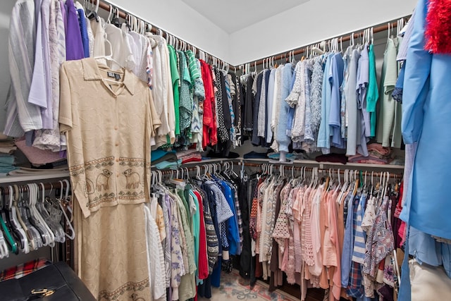 19486 Humaya Dr, Porter, TX 77365 - view of spacious closet