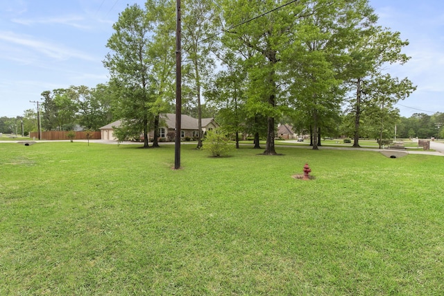 19486 Humaya Dr, Porter, TX 77365 - view of yard