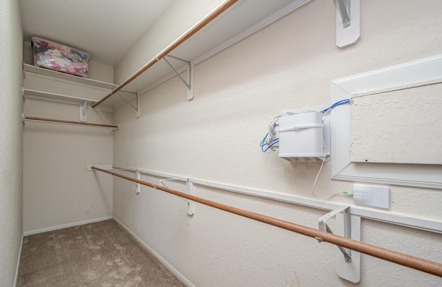18611 Camellia Estates Ln, Cypress, TX 77429 - spacious closet with carpet