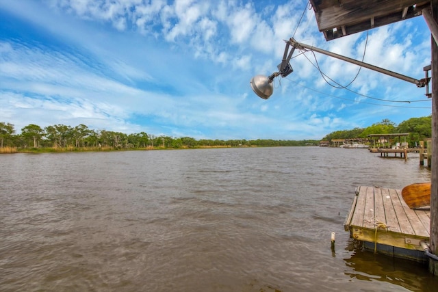 6348 County Road 659, Brazoria, TX 77422 - photo 4