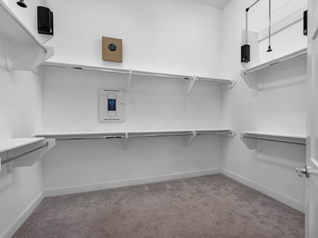 walk in closet with carpet