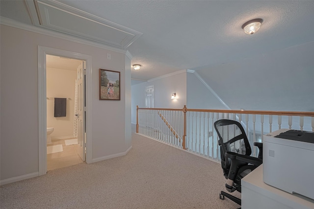 1307 Romero Dr, Pearland, TX 77581 - unfurnished office with carpet flooring, attic access, crown molding, a textured ceiling, and baseboards