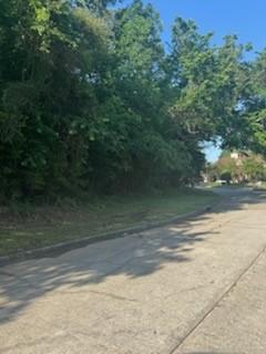 3814 Treasure Is, Montgomery, TX 77356 - photo 1