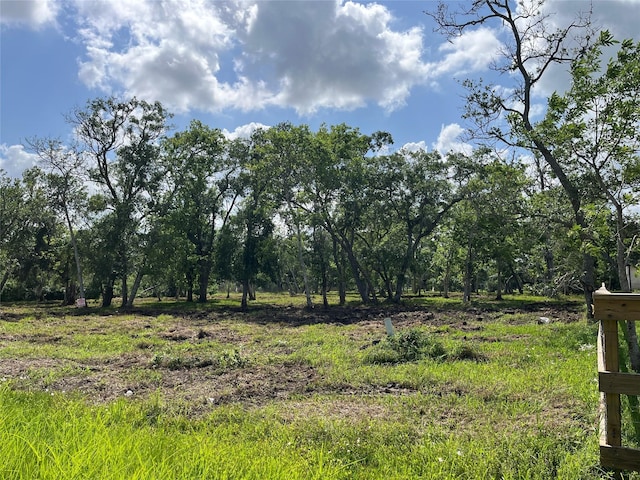 32526 Bayou Bnd, Richwood, TX 77515