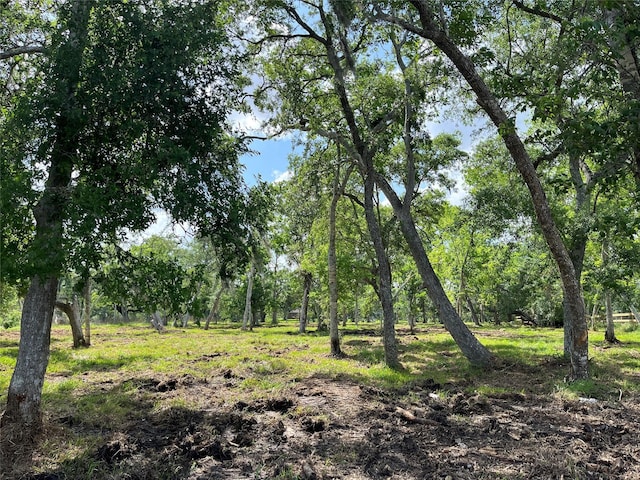 32526 Bayou Bnd, Richwood, TX 77515