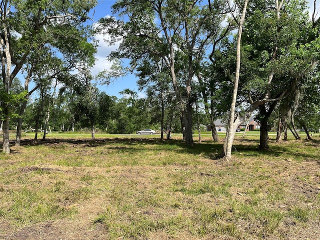 32526 Bayou Bnd, Richwood, TX 77515