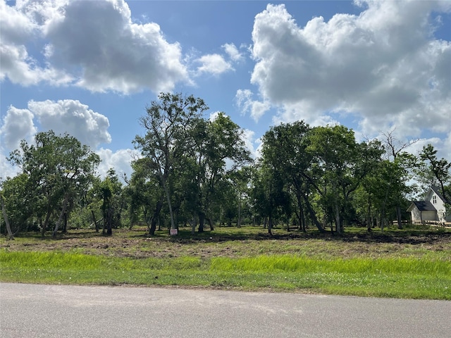 32526 Bayou Bnd, Richwood, TX 77515