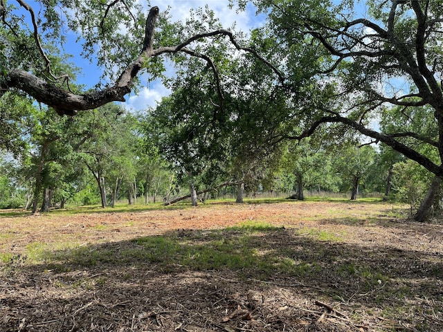 32526 Bayou Bnd, Richwood, TX 77515