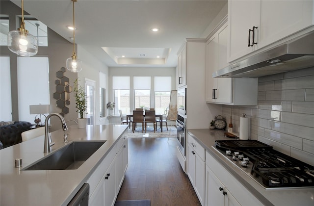 kitchen with under cabinet range hood, a tray ceiling, a sink, appliances with stainless steel finishes, and backsplash