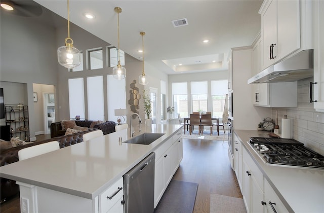 kitchen featuring dark wood-style flooring, a sink, stainless steel appliances, recessed lighting, and under cabinet range hood