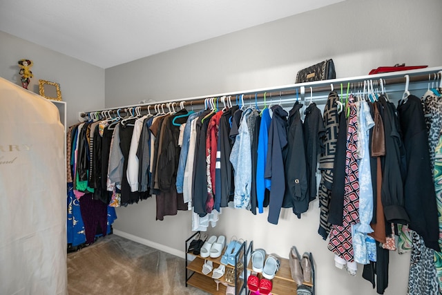 walk in closet featuring carpet flooring