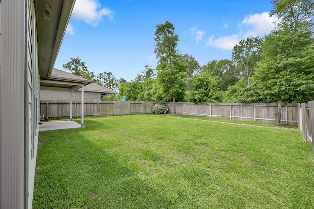 4202 Amber Ruse Dr, Conroe, TX 77304 - view of yard with a patio and a fenced backyard