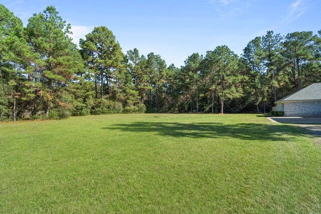 28710 Sapphire Cir, Magnolia, TX 77355 - view of grassy yard