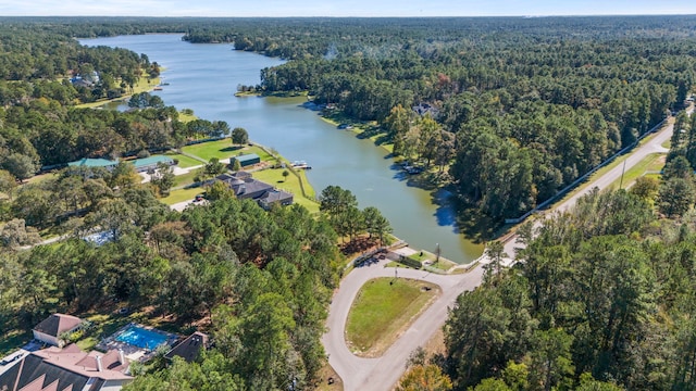 28710 Sapphire Cir, Magnolia, TX 77355 - view of property location featuring a heavily wooded area and a nearby body of water