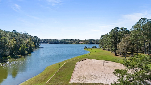 28710 Sapphire Cir, Magnolia, TX 77355 - water view featuring a forest