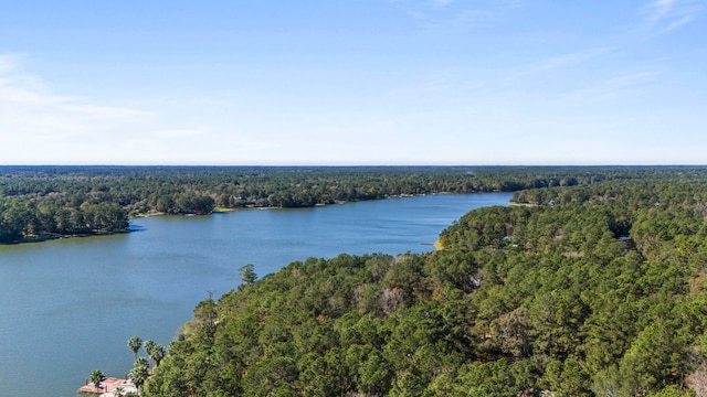 28710 Sapphire Cir, Magnolia, TX 77355 - aerial view of a heavily wooded area and a nearby body of water