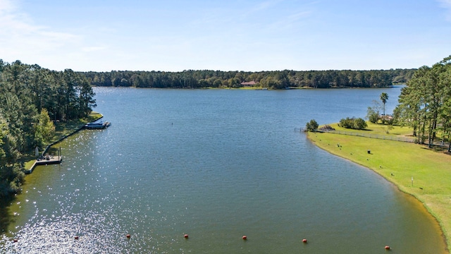 28710 Sapphire Cir, Magnolia, TX 77355 - water view featuring a forest