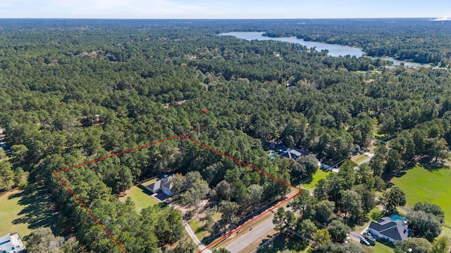 28710 Sapphire Cir, Magnolia, TX 77355 - aerial overview of property's location with a heavily wooded area, property parcel outlined, and a large body of water
