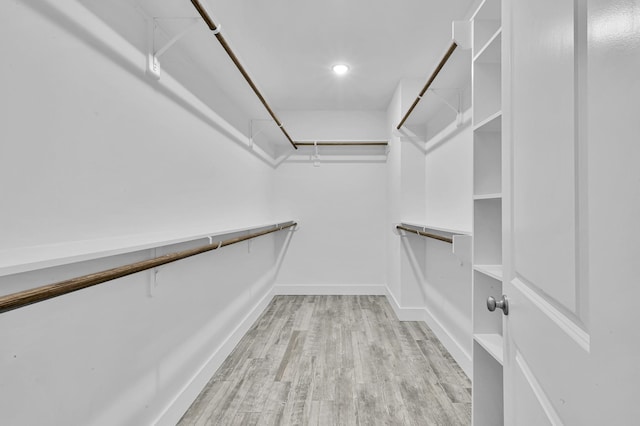 12390 Green Ridge Dr, Willis, TX 77318 - walk in closet with light wood-style floors