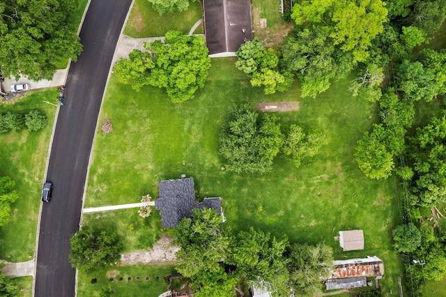 bird's eye view