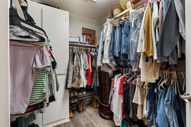 spacious closet with wood finished floors
