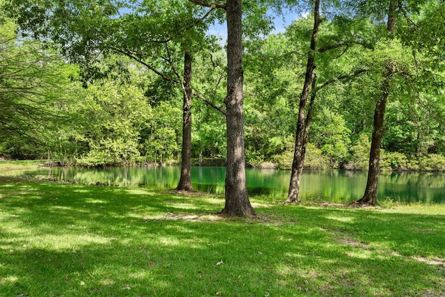 view of yard with a forest view