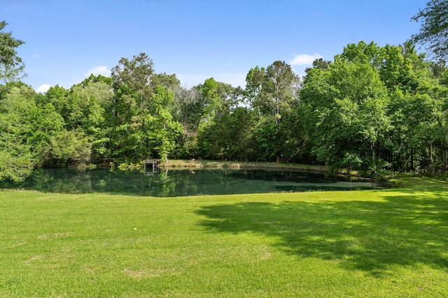 view of yard with a water view and a forest view