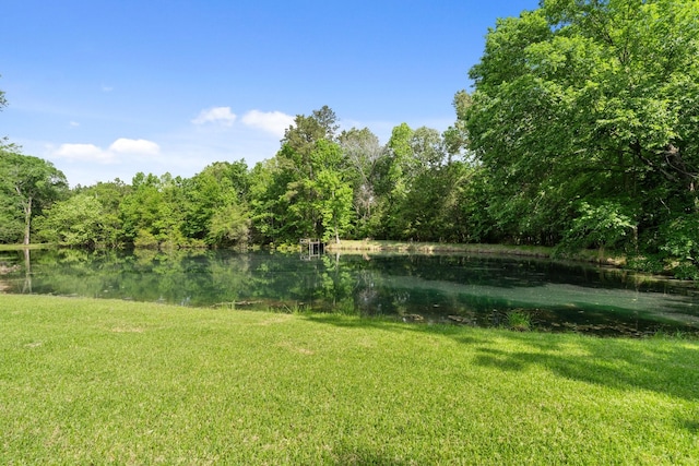 view of yard featuring a water view and a wooded view