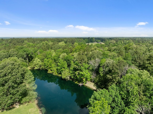 bird's eye view featuring a water view and a wooded view