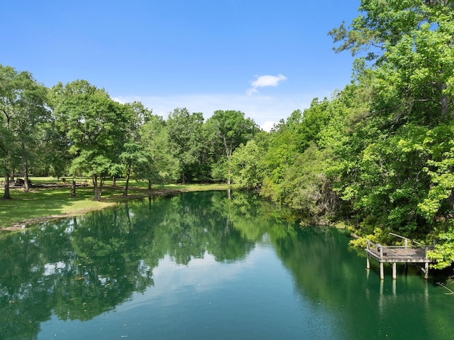 property view of water featuring a forest view