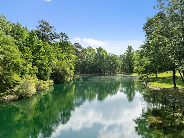 water view with a forest view