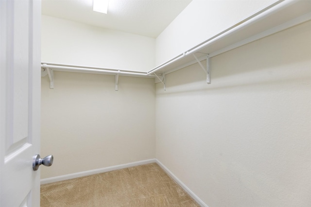 walk in closet featuring light carpet