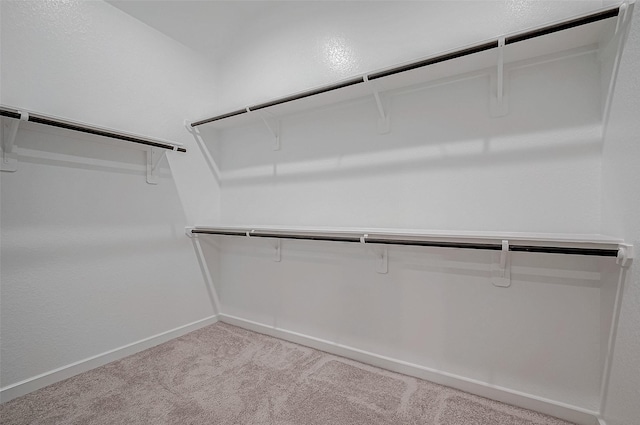 walk in closet with carpet flooring