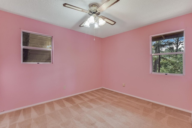 919 Stephan Ln, La Grange, TX 78945 - photo 12