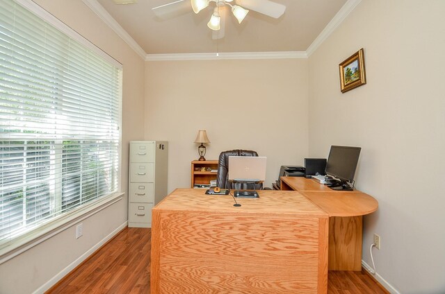 24242 Yelverton Glen Dr, Katy, TX 77493 - office area with crown molding, baseboards, ceiling fan, and wood finished floors