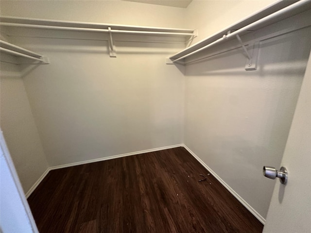 spacious closet with dark wood-style flooring