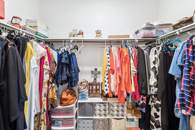 13127 Clifton Hill Ln, Houston, TX 77044 - view of spacious closet