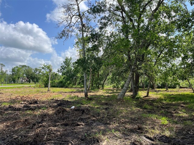 32534 Bayou Bnd, Richwood, TX 77515