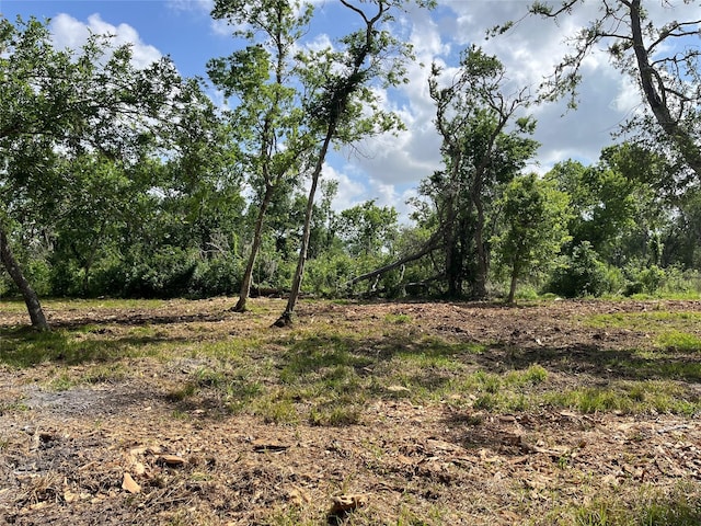 32534 Bayou Bnd, Richwood, TX 77515