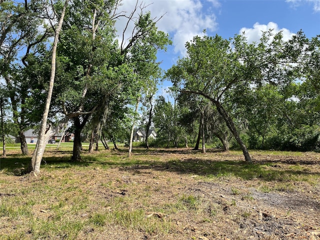 32534 Bayou Bnd, Richwood, TX 77515
