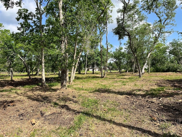 32534 Bayou Bnd, Richwood, TX 77515