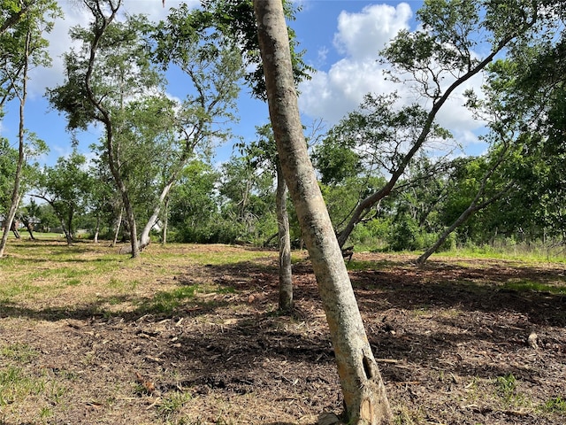32534 Bayou Bnd, Richwood, TX 77515