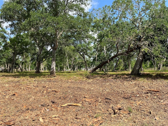 32534 Bayou Bnd, Richwood, TX 77515
