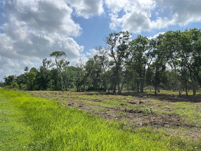 32534 Bayou Bnd, Richwood, TX 77515